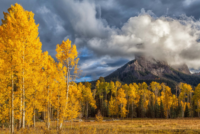 Обои картинки фото природа, пейзажи, простор