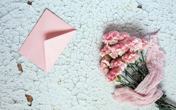 Картинка цветы гвоздики розовый