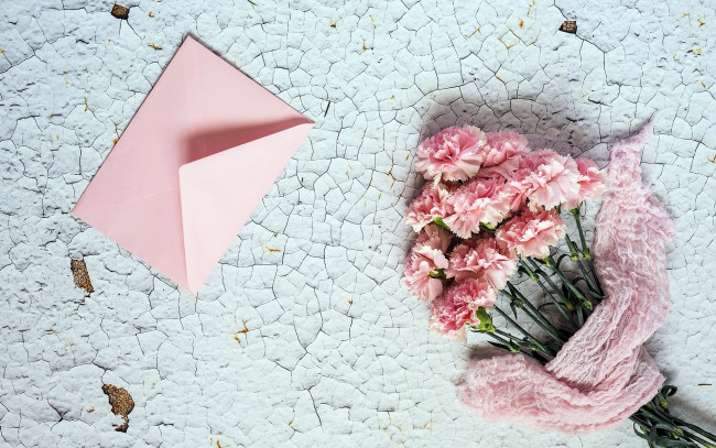 Обои картинки фото цветы, гвоздики, розовый