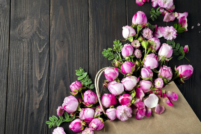 Обои картинки фото цветы, розы, бутоны