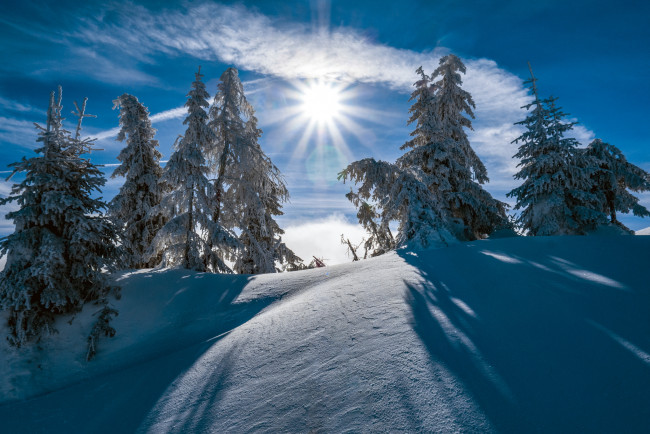 Обои картинки фото природа, зима, простор