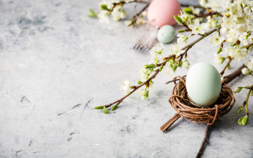 Картинка праздничные пасха ветка весна композиция