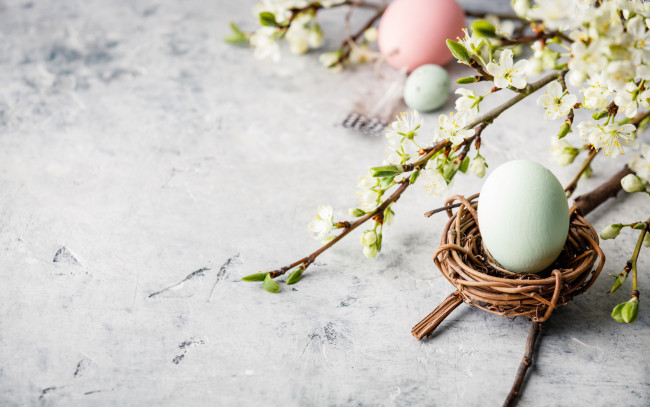 Обои картинки фото праздничные, пасха, ветка, весна, композиция