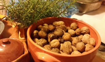 Картинка еда орехи +каштаны +какао-бобы розмарин грецкие