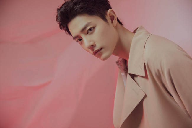 Обои картинки фото мужчины, xiao zhan, сяо, джан, пальто