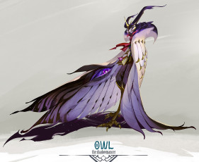 Картинка фэнтези существа сова плащ