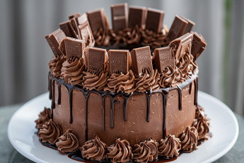 Картинка еда торты шоколадный торт крем