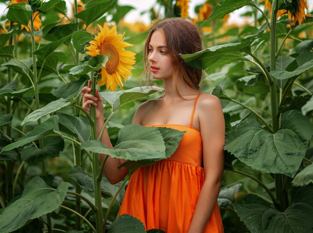 Обои картинки фото девушки, - брюнетки,  шатенки, девушка, позирует, оксана, громова