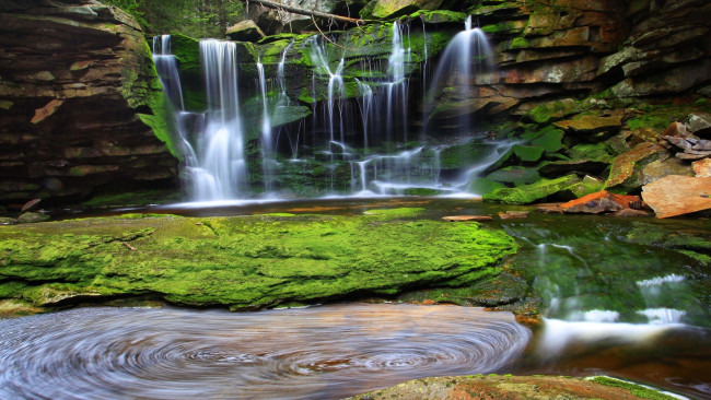 Обои картинки фото elakala falls, blackwater canyon, west virginia, природа, водопады, elakala, falls, blackwater, canyon, west, virginia