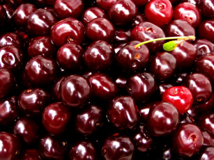 Картинка еда вишня черешня
