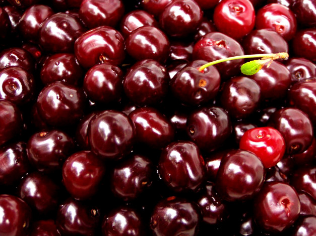 Обои картинки фото еда, вишня, черешня