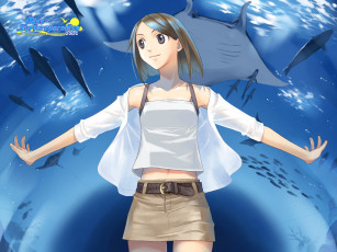 обоя аниме, miss, surfersparadise