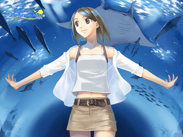 Обои картинки фото аниме, miss, surfersparadise