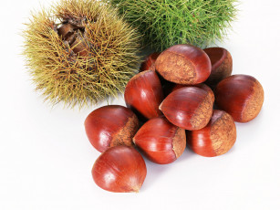 Картинка еда орехи каштаны