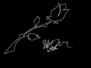 Картинка музыка him