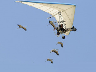 Картинка авиация другое