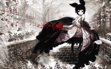 Картинка аниме *unknown другое