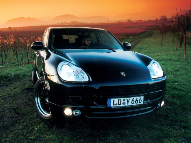 Обои картинки фото автомобили, porsche