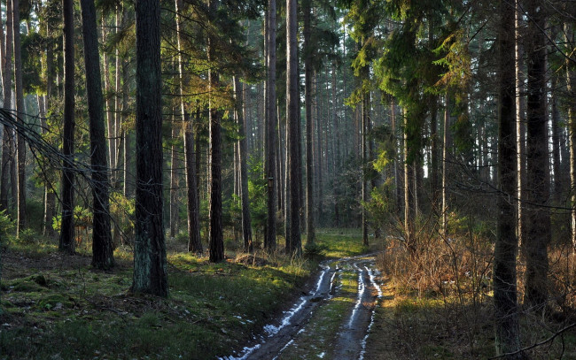 Обои картинки фото природа, дороги