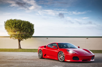 Картинка ferrari f430 автомобили дерево стена