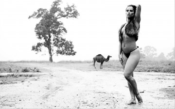 Картинка -Unsort+Брюнетки+Шатенки kelly девушки unsort брюнетки шатенки дорога дерево верблюд