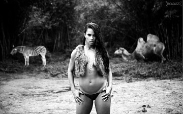 Картинка -Unsort+Брюнетки+Шатенки kelly девушки unsort брюнетки шатенки верблюд зебра