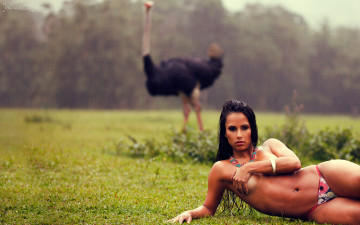 Картинка -Unsort+Брюнетки+Шатенки kelly девушки unsort брюнетки шатенки луг страус