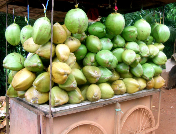 Обои картинки фото еда, овощи, телега