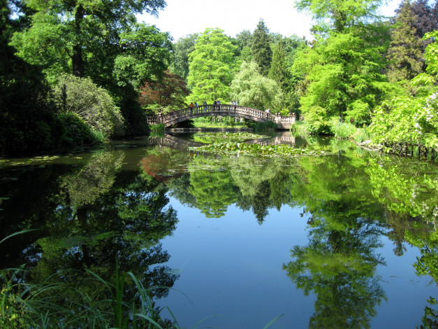 Обои картинки фото природа, парк, гессен, германия