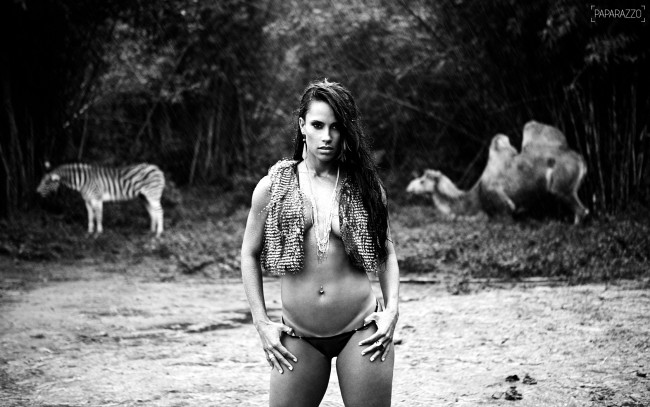 Обои картинки фото -Unsort Брюнетки Шатенки, kelly, девушки, unsort, брюнетки, шатенки, верблюд, зебра