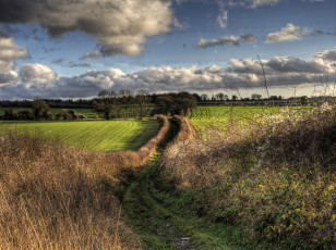 Картинка природа дороги облака колея трава поле