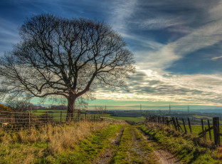Картинка природа дороги облака дорога забор поле горизонт деревья