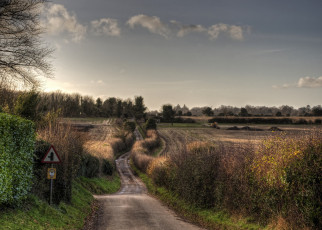 Картинка природа дороги кустарник трава тракт лес поле