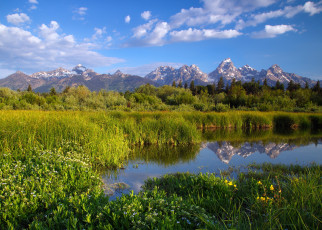 Картинка природа реки озера озеро горы цветы трава