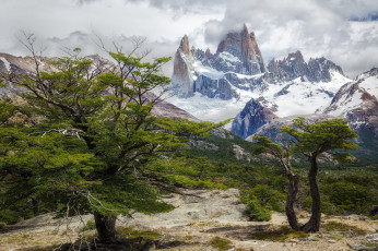 Картинка природа горы кустарник деревья скалы