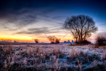 Картинка природа поля утро заря иней горизонт трава поле