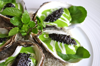 Картинка еда рыба +морепродукты +суши +роллы устрицы икра