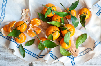 Картинка еда цитрусы мандарины