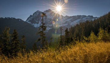 Картинка природа восходы закаты горы солнце луг лес сияние