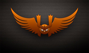 Картинка рисованные минимализм крылья сова тёмный фон взгляд брови