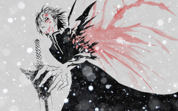 Картинка аниме +gray-man краски меч парень walker allen