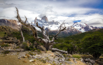 обоя природа, горы, коряга, камни, скалы, облака