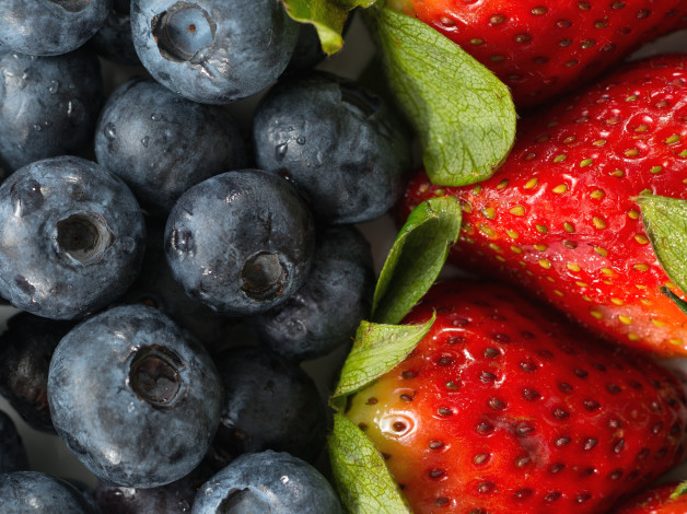 Обои картинки фото еда, фрукты,  ягоды, голубика, клубника