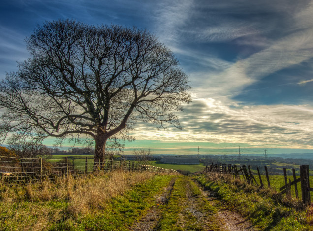 Обои картинки фото природа, дороги, облака, дорога, забор, поле, горизонт, деревья