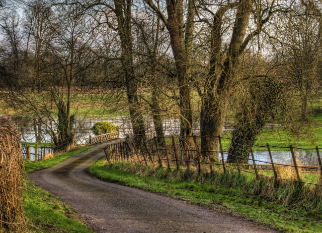 Обои картинки фото природа, дороги, осень, дорога, лес