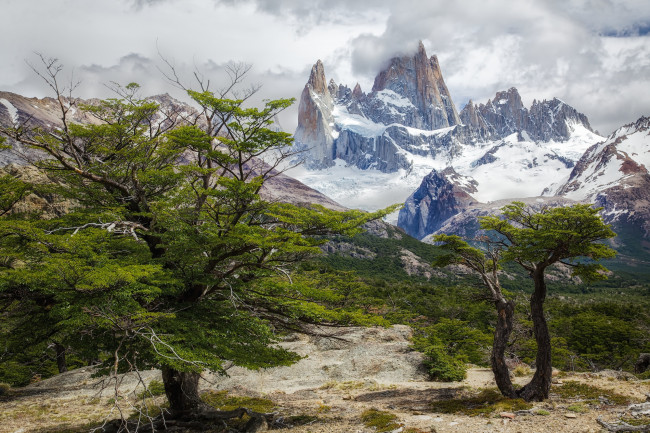 Обои картинки фото природа, горы, кустарник, деревья, скалы