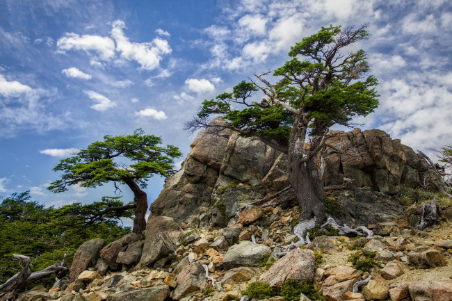 Обои картинки фото природа, горы, облака, деревья, камни