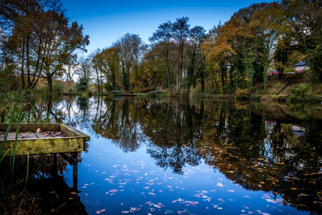 Обои картинки фото природа, реки, озера, лес, река, мостик, листва