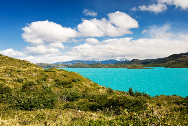 Обои картинки фото природа, реки, озера, Чили, парк, озеро, побережье