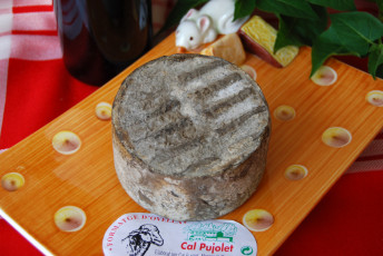 Картинка cal+pujolet еда сырные+изделия сыр